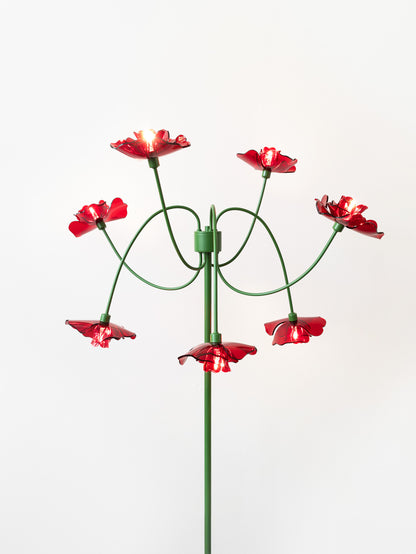 Field Poppies