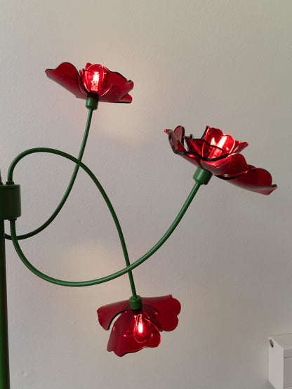 Field Poppies